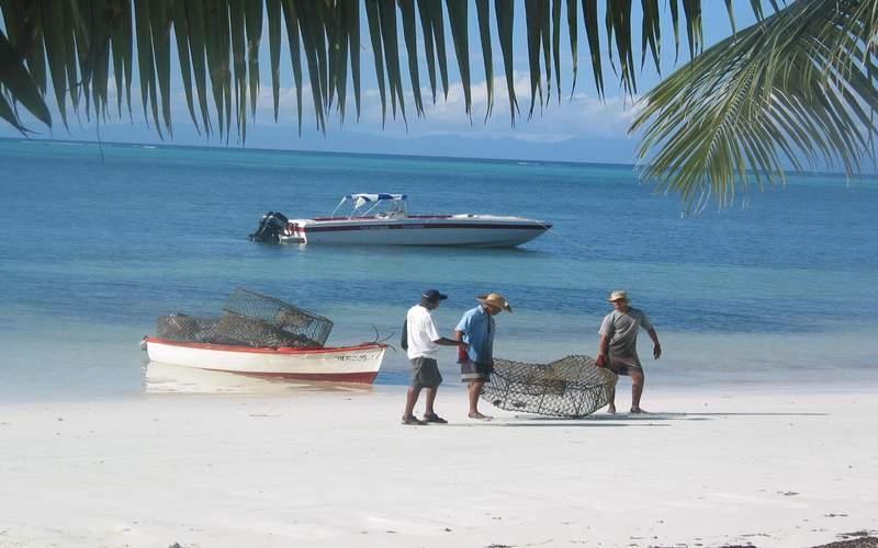 Villas de Mer Grand Anse  Eksteriør bilde